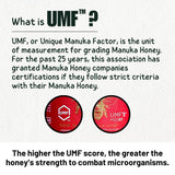 将图片加载到图库查看器，麦卢卡 UMF 认证新西兰蜂蜜 UMF 20+（带礼盒）